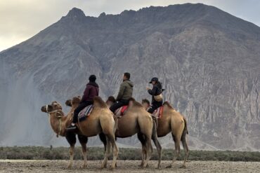 Ladakh Group Car Tour 1