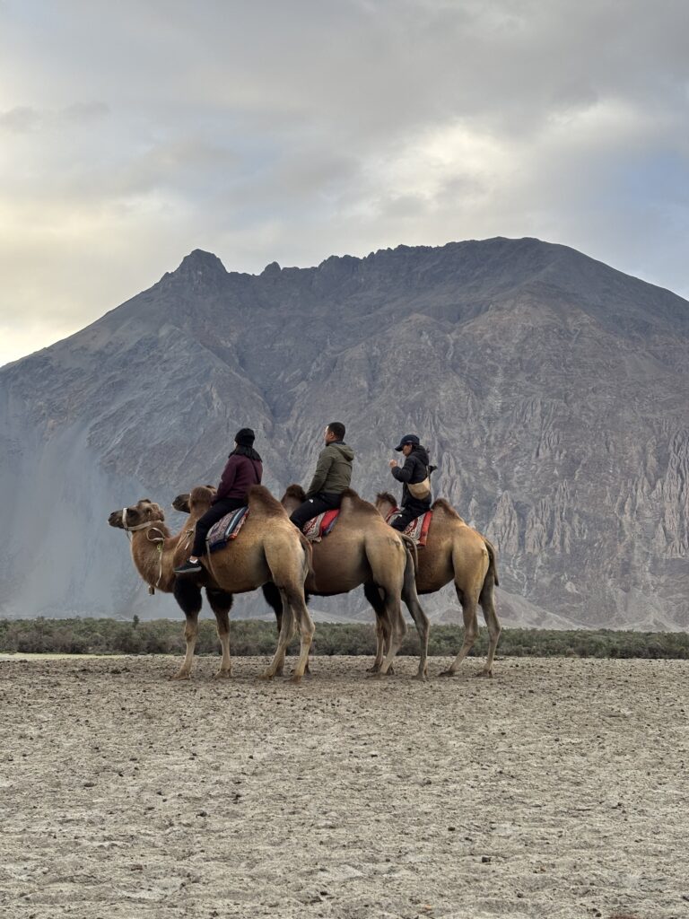 Ladakh Group Car Tour 1