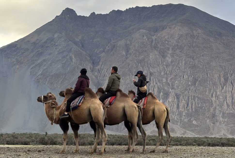 Ladakh Group Car Tour 1