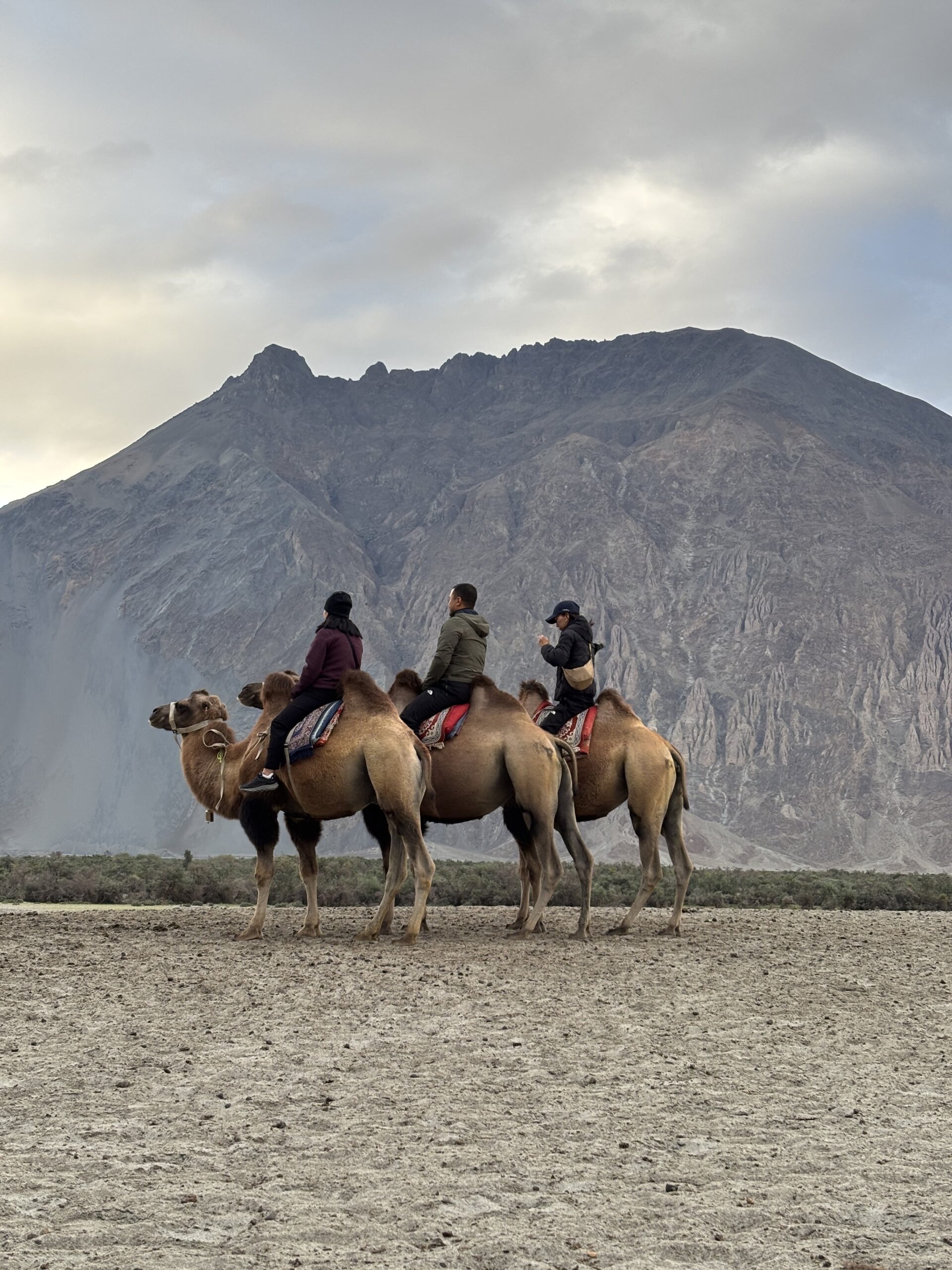 Ladakh Group Car Tour 1