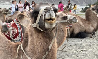Ladakh Motorbike Tour 1
