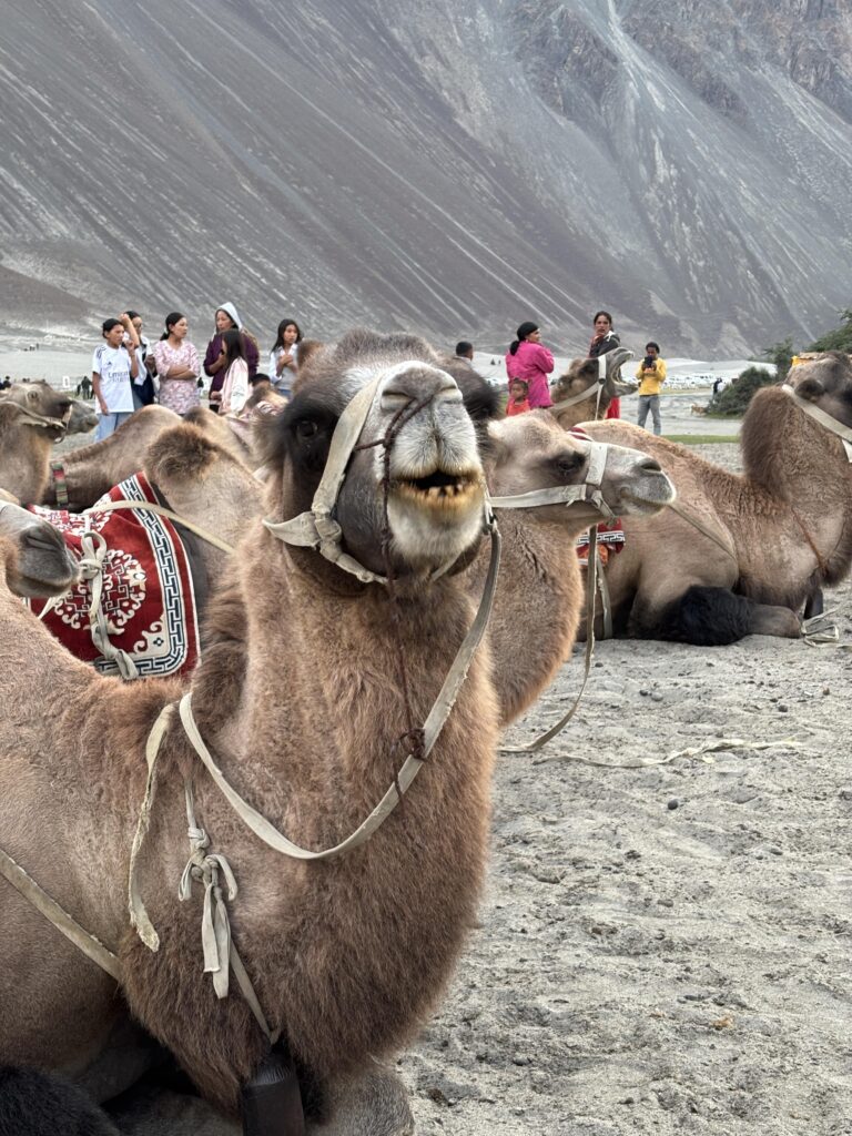 Ladakh Motorbike Tour 1
