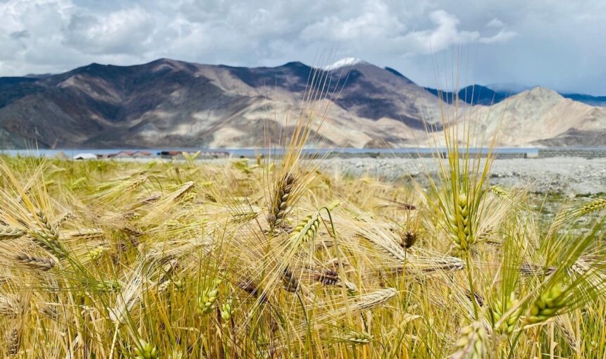 Pangong Lake: The Blue Paradise of Ladakh