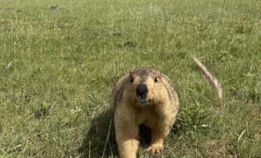 Ladakh Motorbike Tour 1