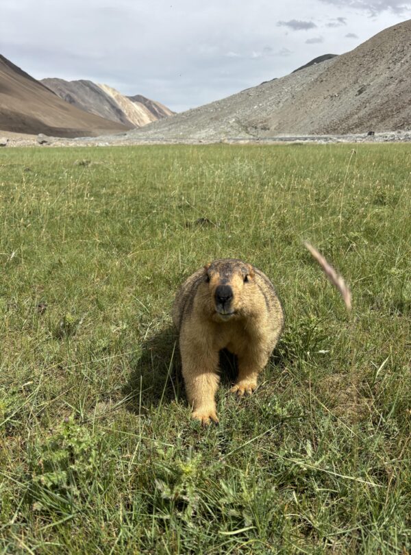 Ladakh Motorbike Tour 1