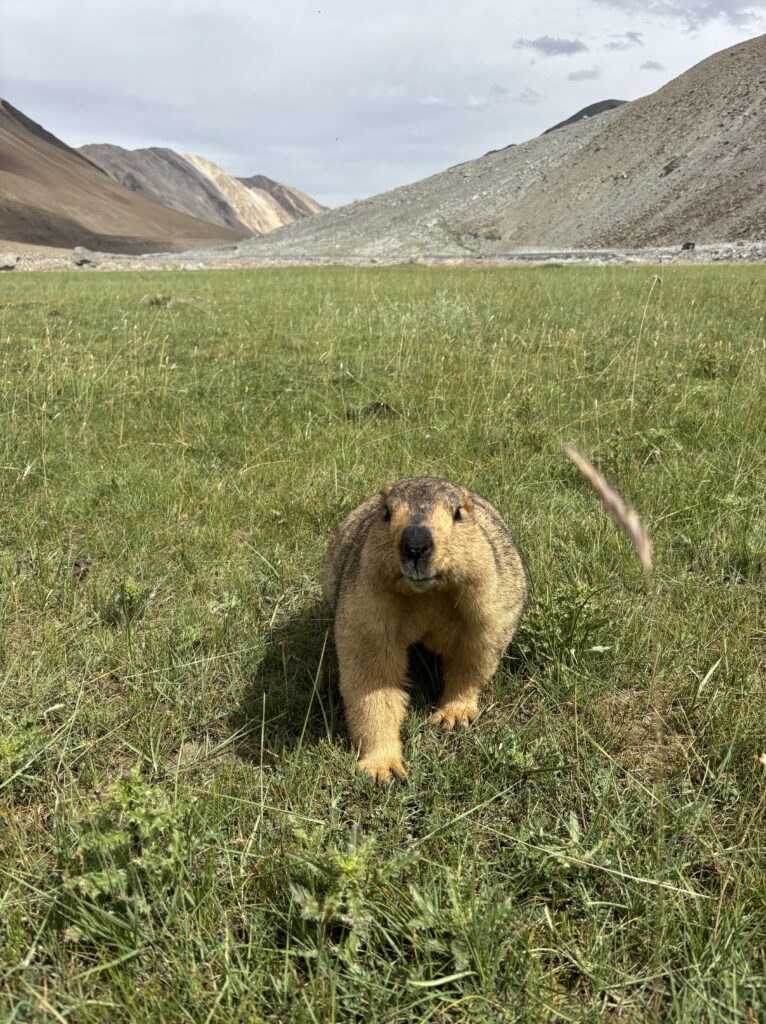Ladakh Motorbike Tour 1